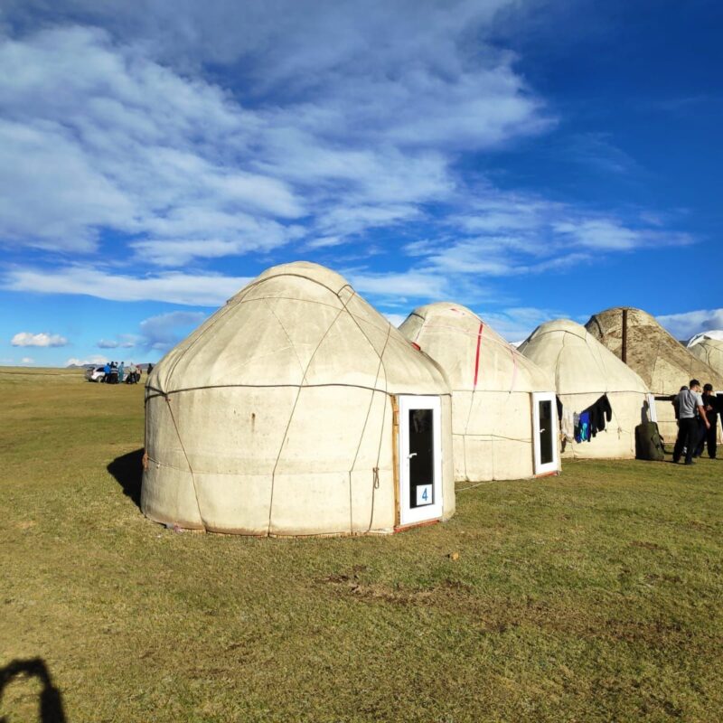 4 wings type yurts 55 person (heads)